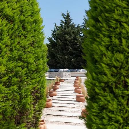 Vento Imperiale Estate *