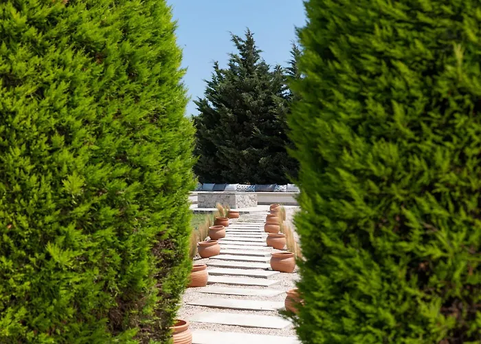 Vento Imperiale Estate *